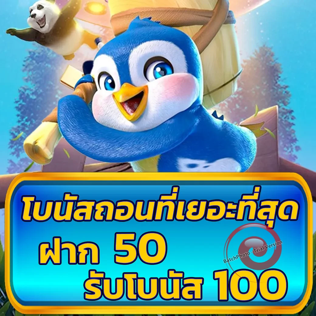 olymbet เว็บตรง